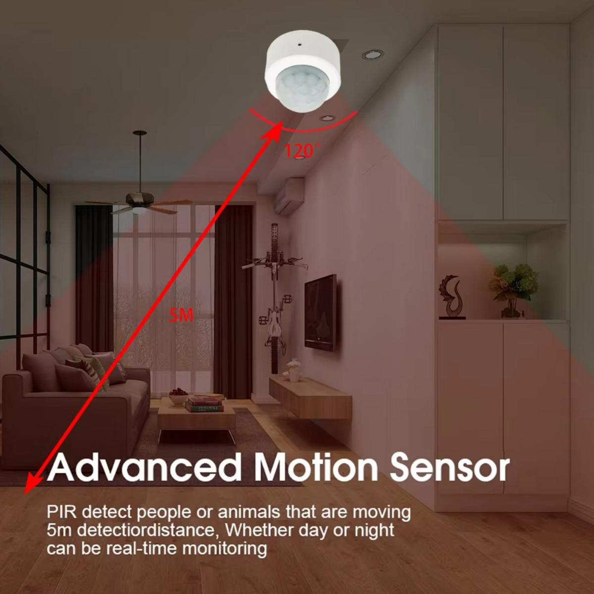 Zigbee PIR Motion Sensor Human - огляд і ціна Smart Home Wiser