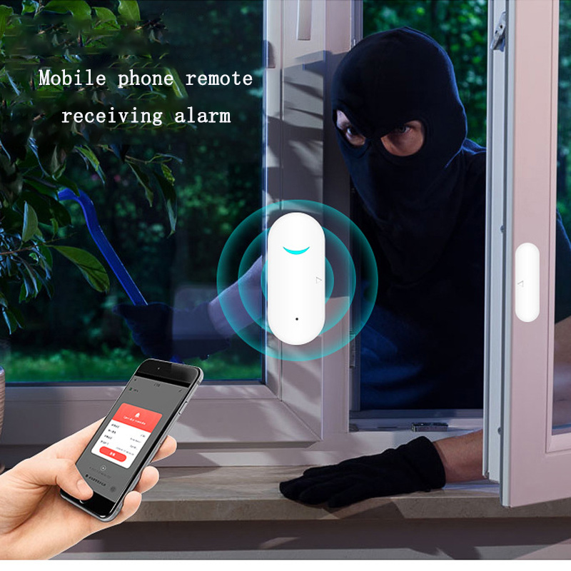 Window Garage Wireless Sensor  - огляд і ціна Wireless Door Sensor
